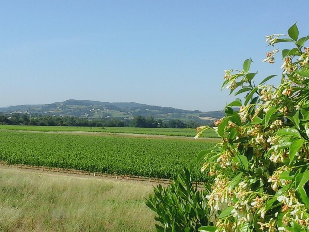 Logis La Bastide Des Monges Nyons